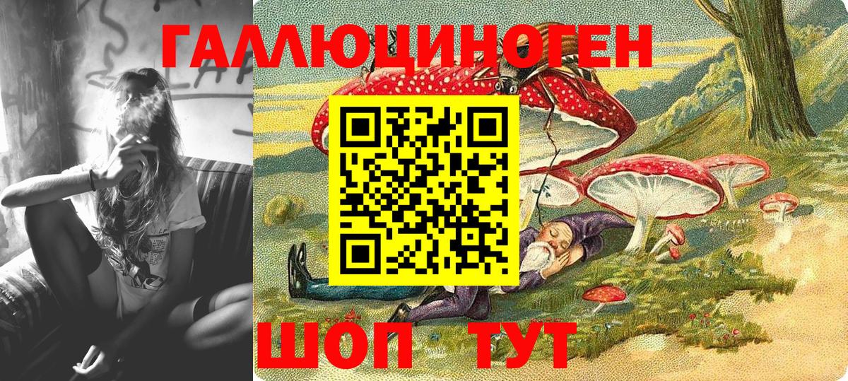 Галлюциногенные грибы Cubensis Пугачёв
