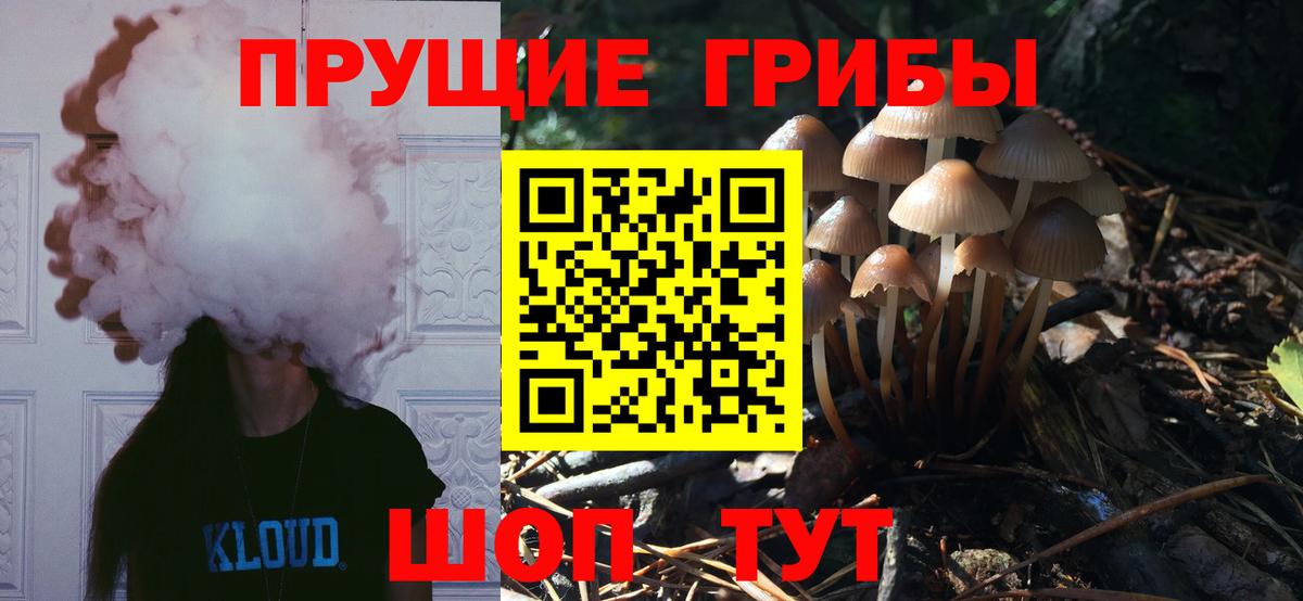 Псилоцибиновые грибы Psilocybine cubensis  Вход с VPN  Пугачёв 